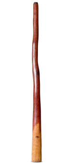 Tristan O'Meara Didgeridoo (TM475)